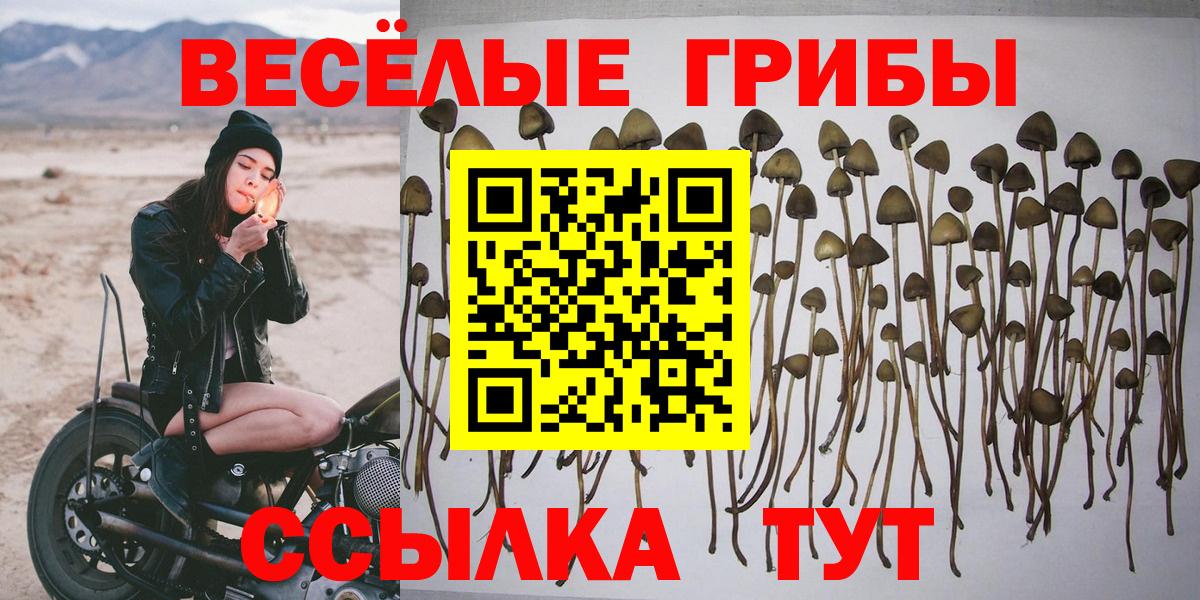 Псилоцибиновые грибы ЛСД Кандалакша